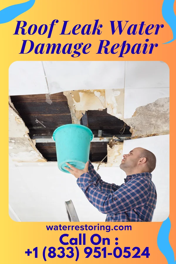 Roof Leak Water Damage Repair in Pukwana, SD