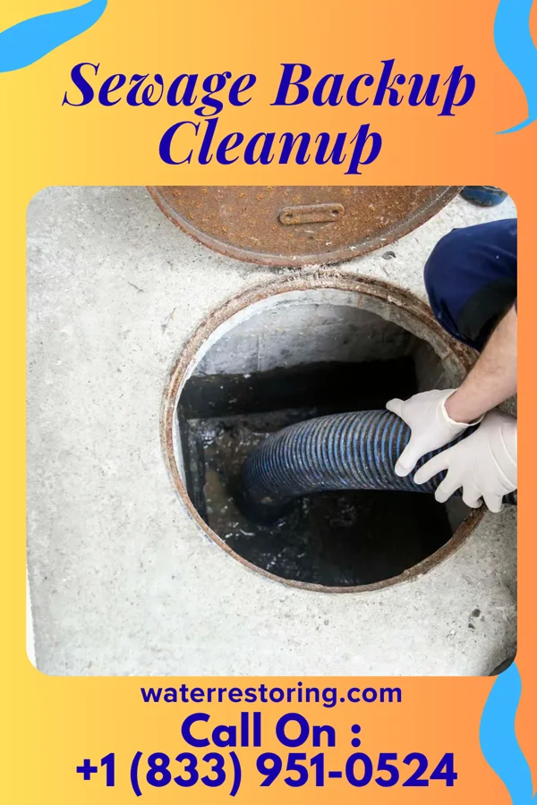 Sewage Backup Cleanup in Pukwana, SD