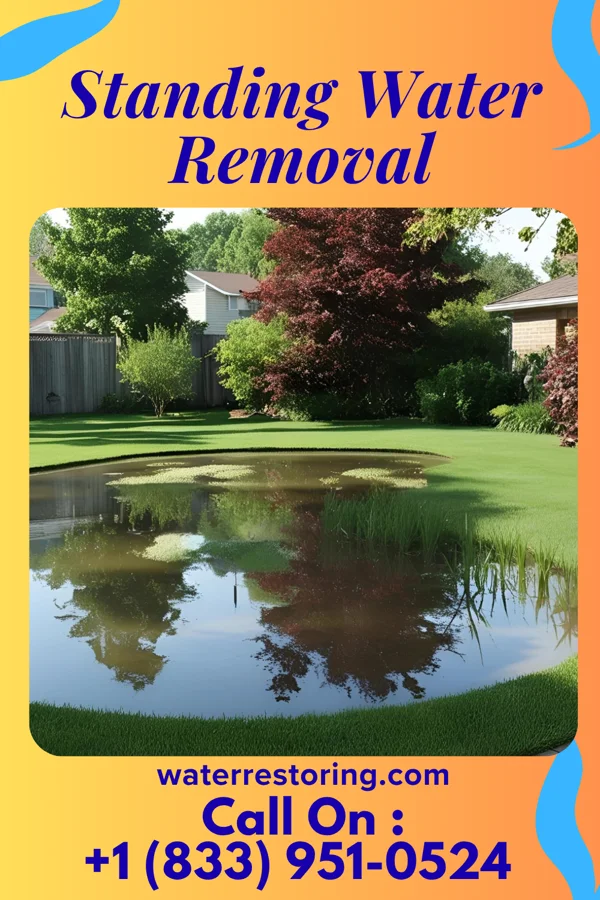 Standing Water Removal in Pukwana, SD